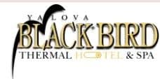 Black Bird Thermal & Spa Yalova Hotel