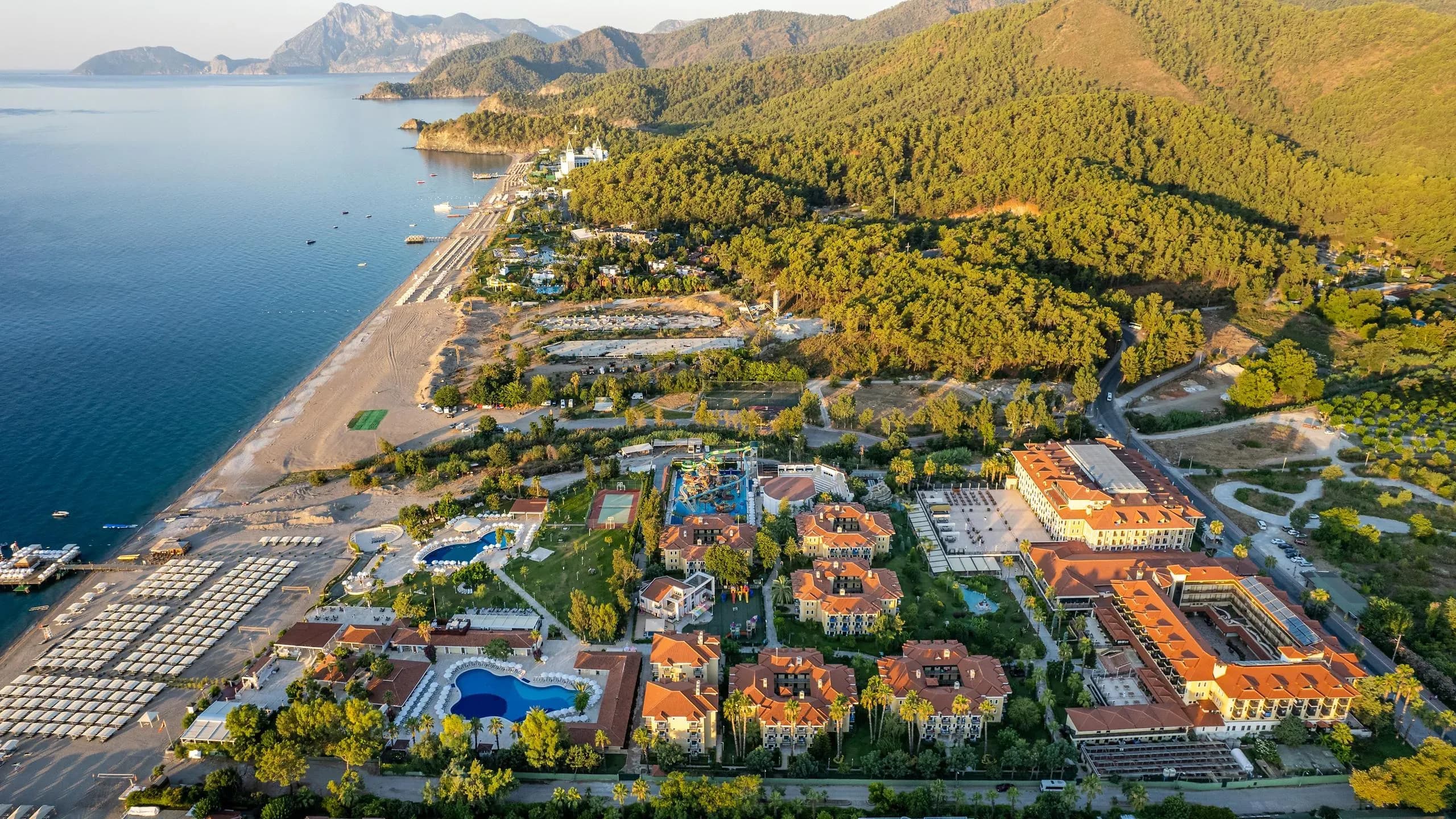 Tüm Fotoğraflar