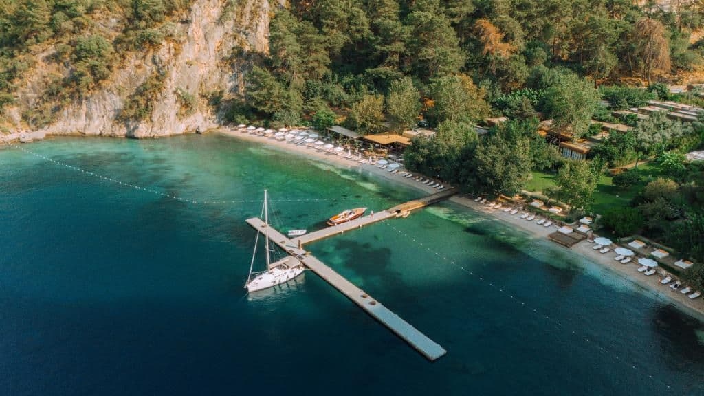 Yazz Collective Tüm Fotoğraflar