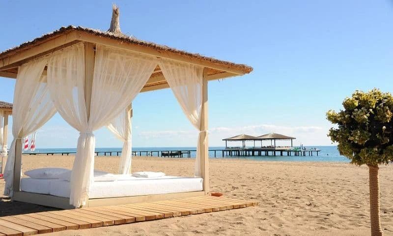 Robinson Nobilis Tüm Fotoğraflar