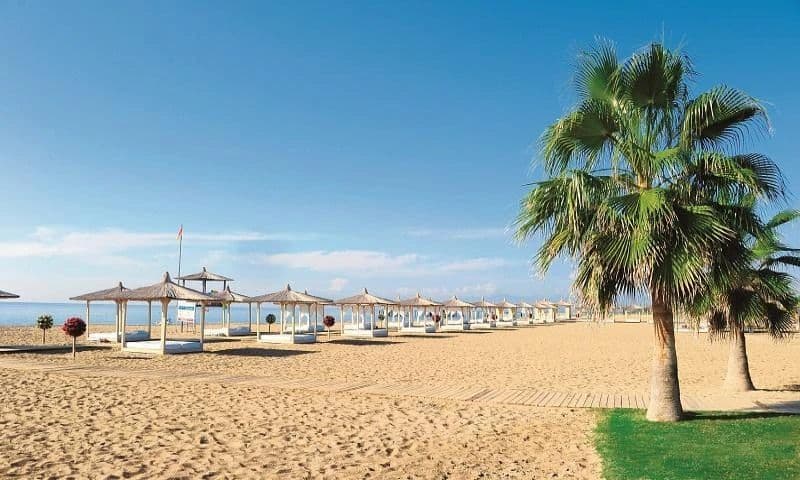 Robinson Nobilis Tüm Fotoğraflar