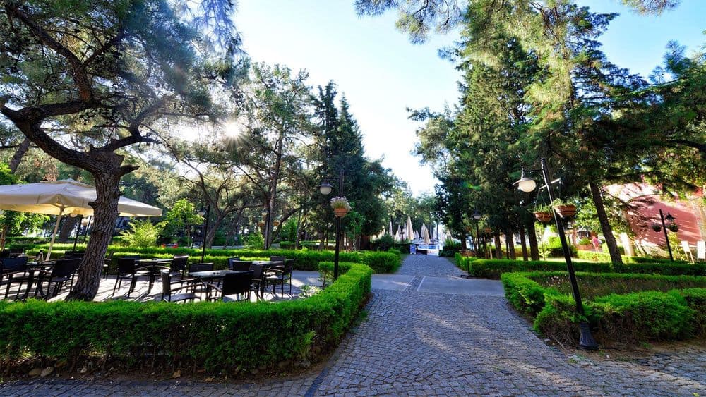 Tüm Fotoğraflar