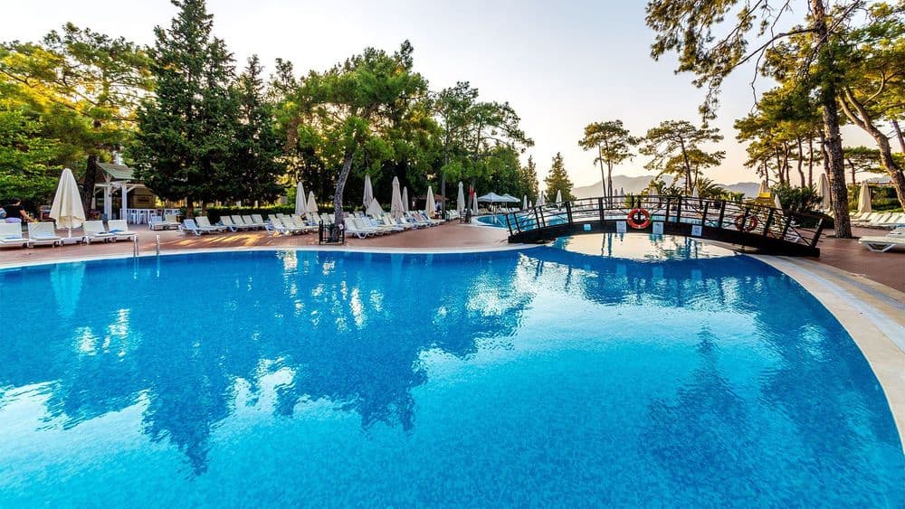 Tüm Fotoğraflar
