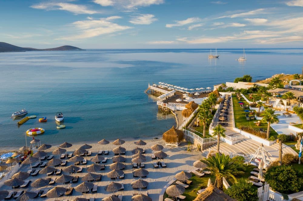 Design Plus Seya Beach Hotel Tüm Fotoğraflar