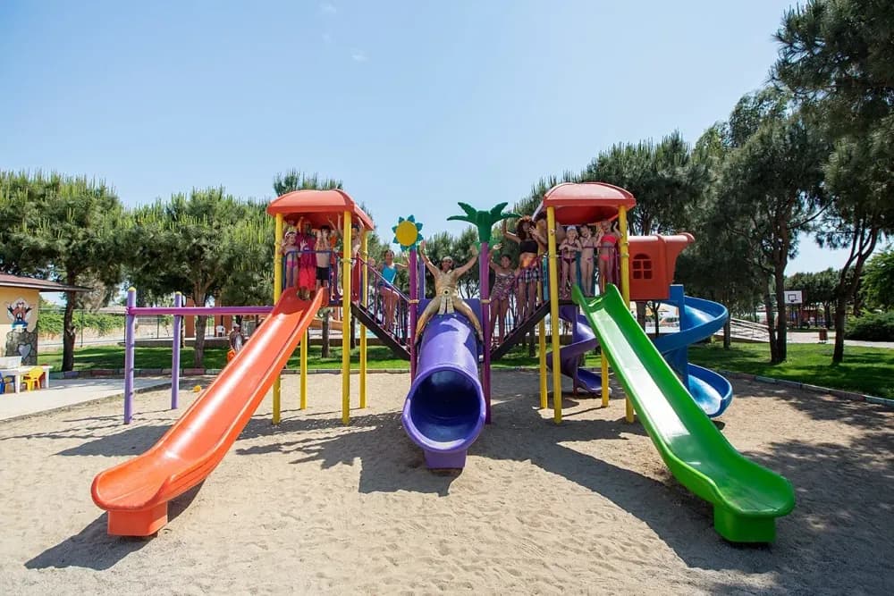 Tüm Fotoğraflar