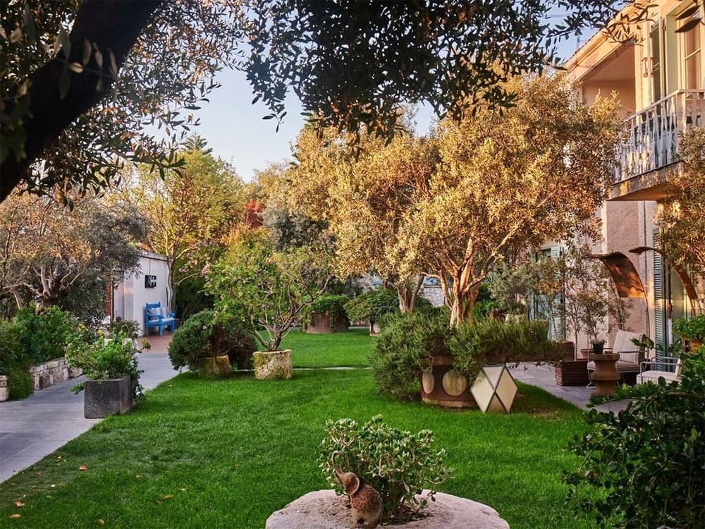 Alavya Hotel Tüm Fotoğraflar