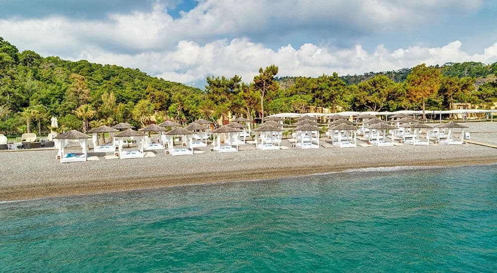 Robinson Çamyuva (+18) Tüm Fotoğraflar