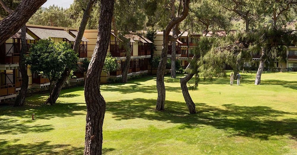 Robinson Çamyuva (+18) Tüm Fotoğraflar