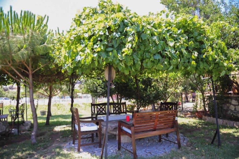 Tüm Fotoğraflar