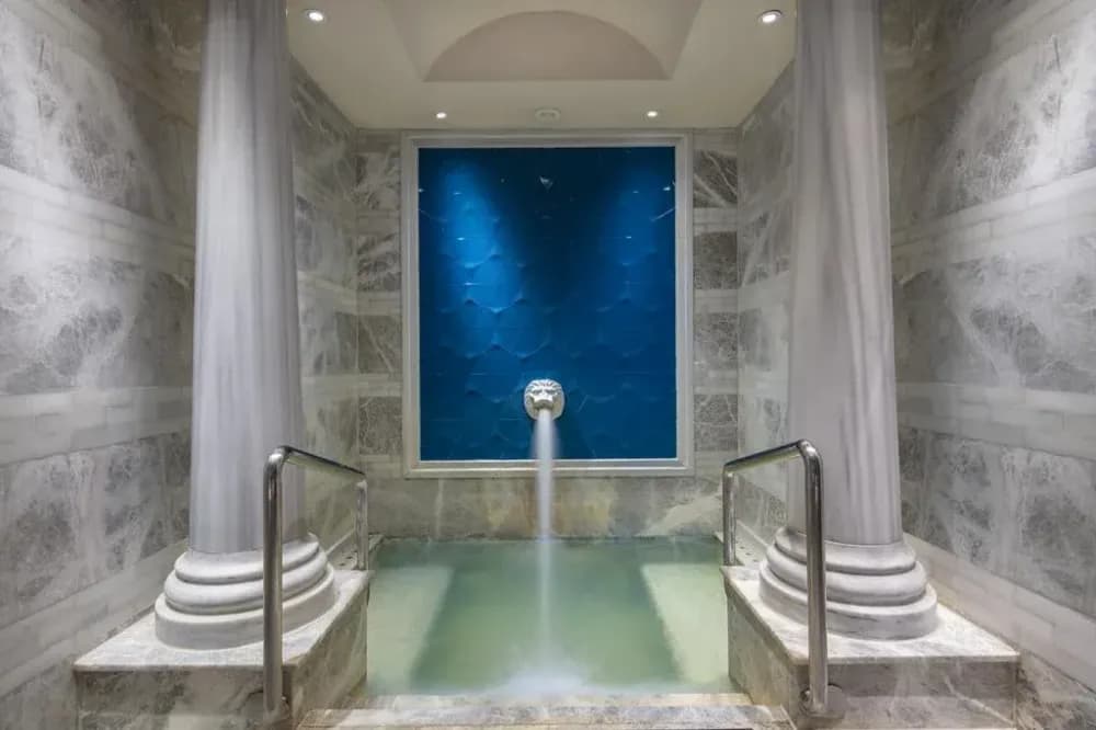 Sheraton Bursa Hotel Tüm Fotoğraflar