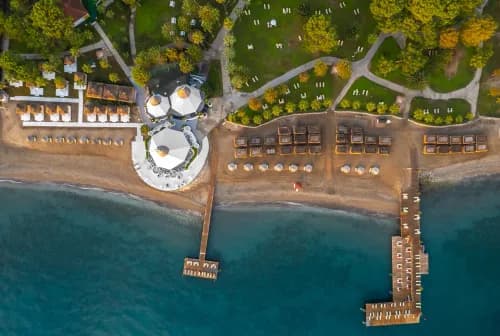 Balmy Foresta Resort Hotel